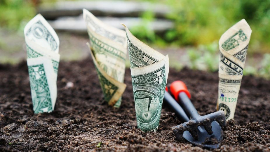 Saving vs Investing: Which Is Better for Your Money?