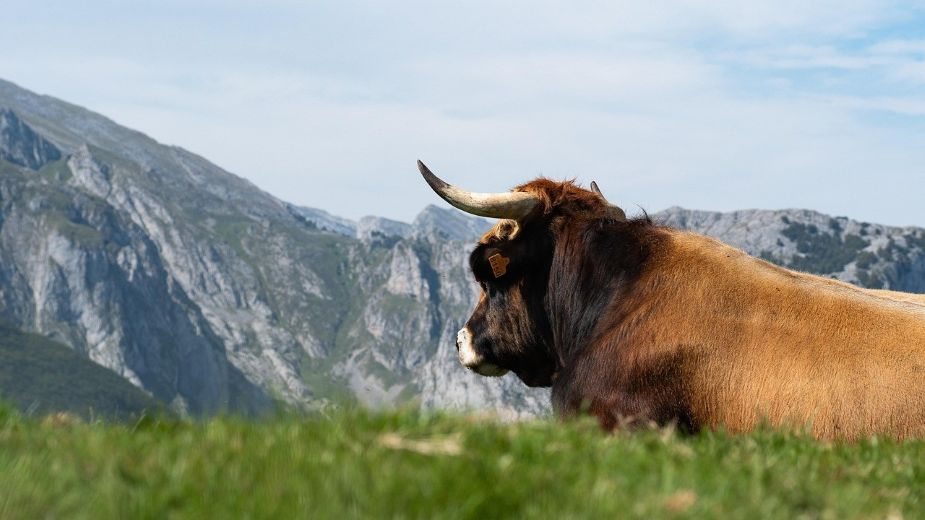 How to Become a Millionaire in 10 Years: My Investments